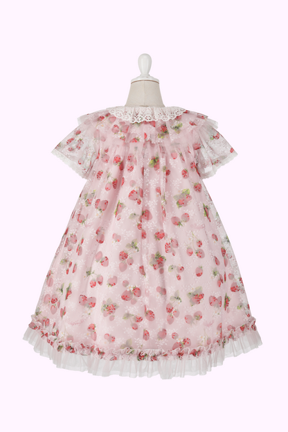 ストロベリーレースプリントドレス（Toddler）